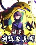 精灵：训练家真司