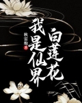 我是仙界白莲花小说