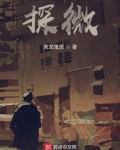 探微