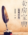 我有一本卖房宝典在线阅读