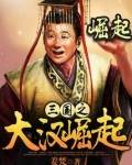 三国之大汉崛起百度百科