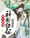 邪王追妻：神医狂妃很嚣张