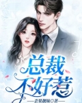 总裁不好惹
