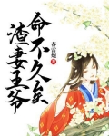 渣妻王爷,命不久的小说