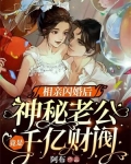 相亲闪婚电视剧