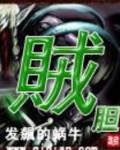 贼胆包天的意思