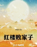 红楼败家子