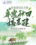 穿成寡妇，在大明养崽种田搞基建