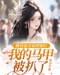 被首富全家团宠后,我的马甲被扒了小说