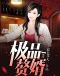 极品赘婿