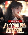 高手下山：九个师姐超护短
