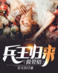 兵王赘婿小说排行榜