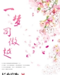 一梦司微越