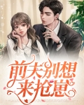 前夫,别乱来免费阅读