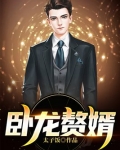 卧龙赘婿