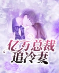 亿万总裁追冷妻