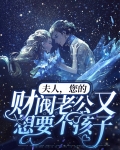 夫人，您的财阀老公又想要个孩子