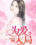 为爱入局电视剧