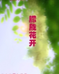 朦胧什么意