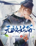 无敌姑爷TXT百度网盘下载