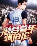nba之开局融合暮年张伯伦txt