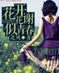 青春的花开花谢歌词
