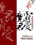 魔君霸爱：女配逆袭成仙记