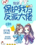 快穿：保护我方反派大佬