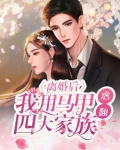 离婚马甲小说