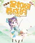 论皇帝是如何养成的