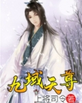 九域天尊上将司令