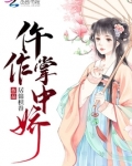 掌中娇小说全文免费