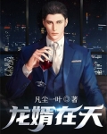 龙婿在都市