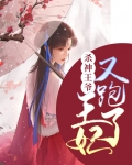 王妃带娃跑王爷追的小说