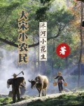 大宋农民起义