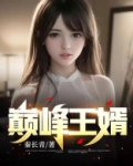 巅峰王婿