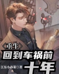 重生：回到车祸前十年