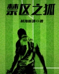 禁区之狐