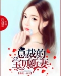 总裁强宠100天全文免费阅读