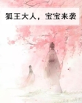 狐王大人，宝宝来袭