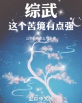 综武：这个苦境有点强