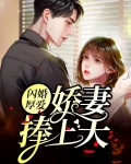 闪婚厚爱宠妻
