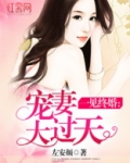 宠妻大过天by晚七七