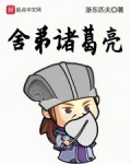 舍弟诸葛亮无错版