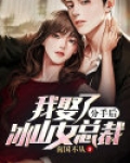 分手后，我娶了冰山女总裁