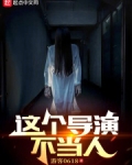 这个导演不当人游客小说