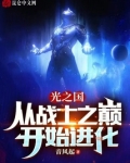 光之国的战士都有谁
