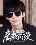 综影视：屡教不改
