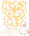 我怀了你的孩子穿书晋江