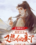 红楼败家子:我贾宝玉,又想纳妾了小说